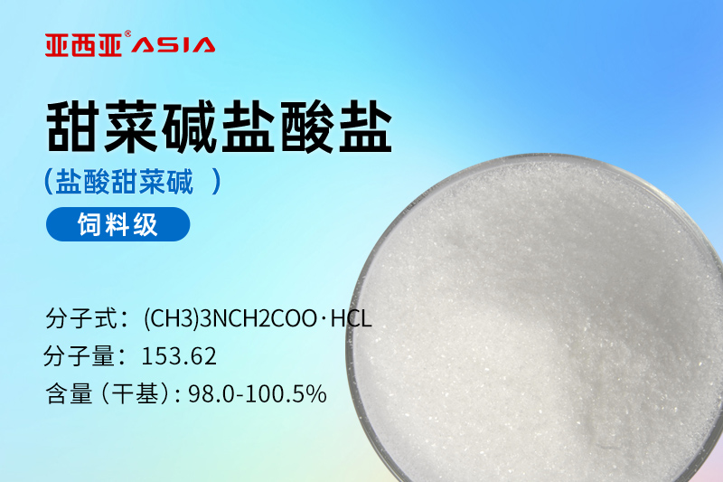 甜菜碱盐酸盐