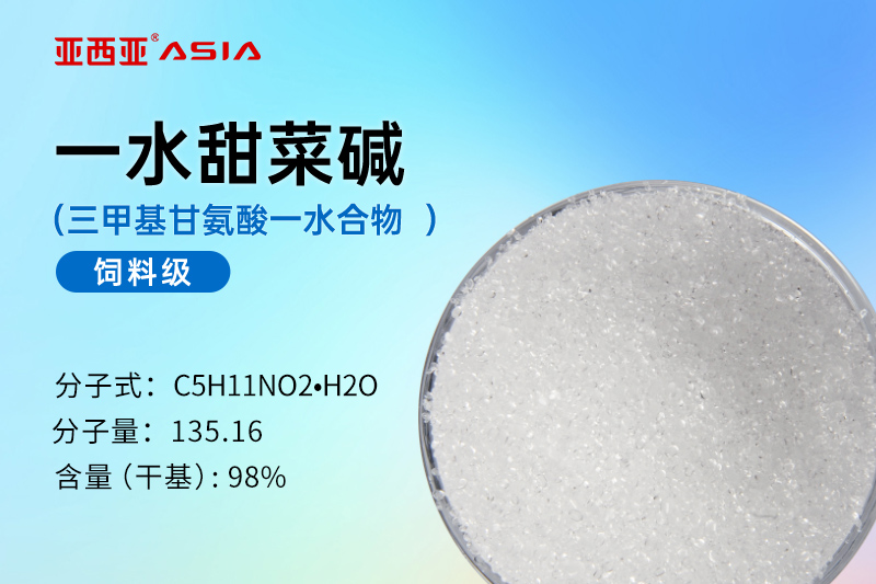 一水甜菜碱